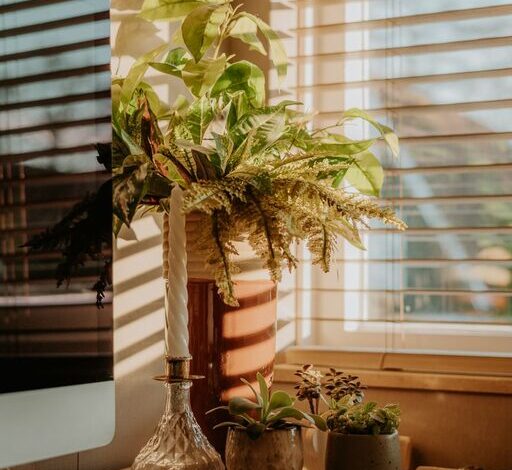 Tips for Creating a Productive Home Workspace